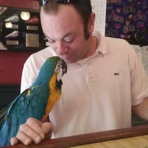 Meet your Posher, Andy